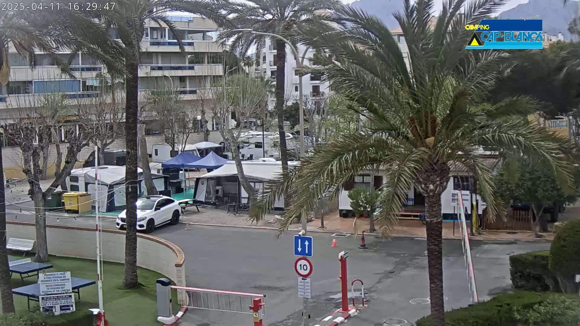 A sunny day at a campsite with numerous RVs and tents situated near a multi-story building and palm trees.