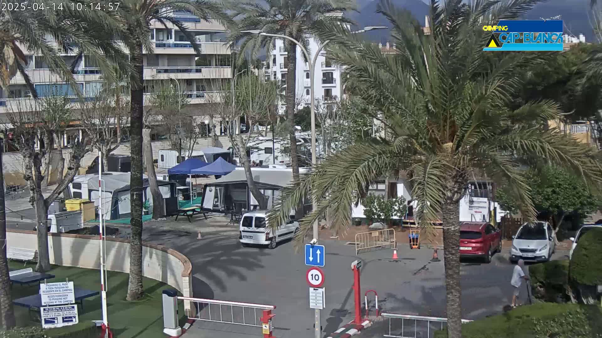 A sunny parking lot with numerous campervans and tents surrounded by palm trees and apartment buildings.