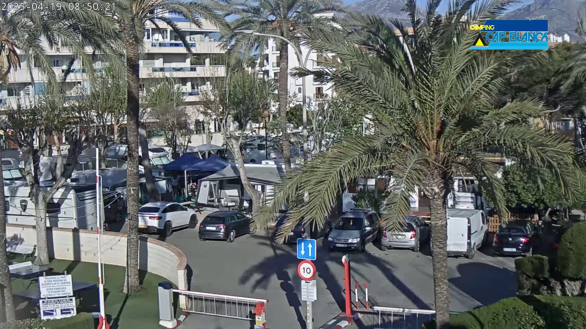 A sunny parking lot filled with cars and RVs is surrounded by palm trees and apartment buildings, with mountains visible in the distance.