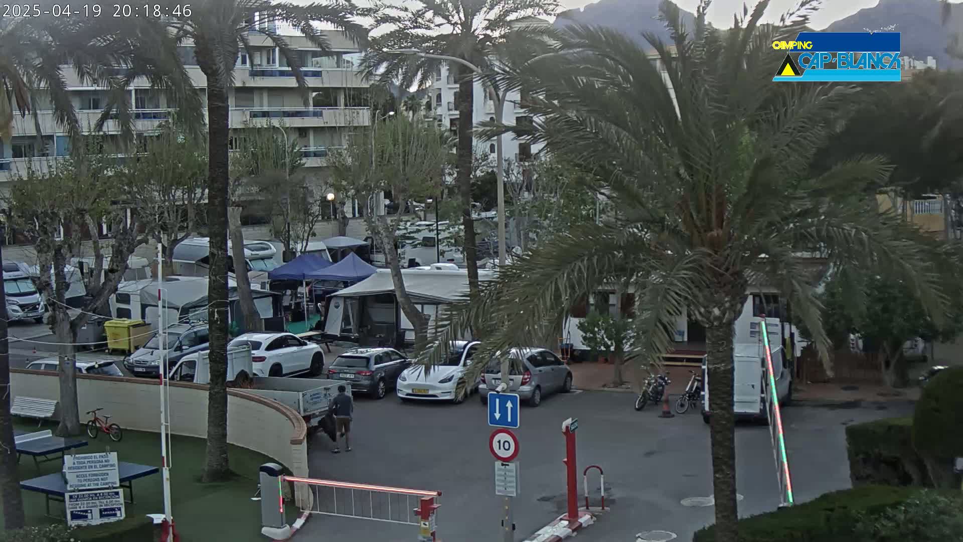 A parking lot filled with RVs and cars under a mostly cloudy sky, surrounded by palm trees and a building.