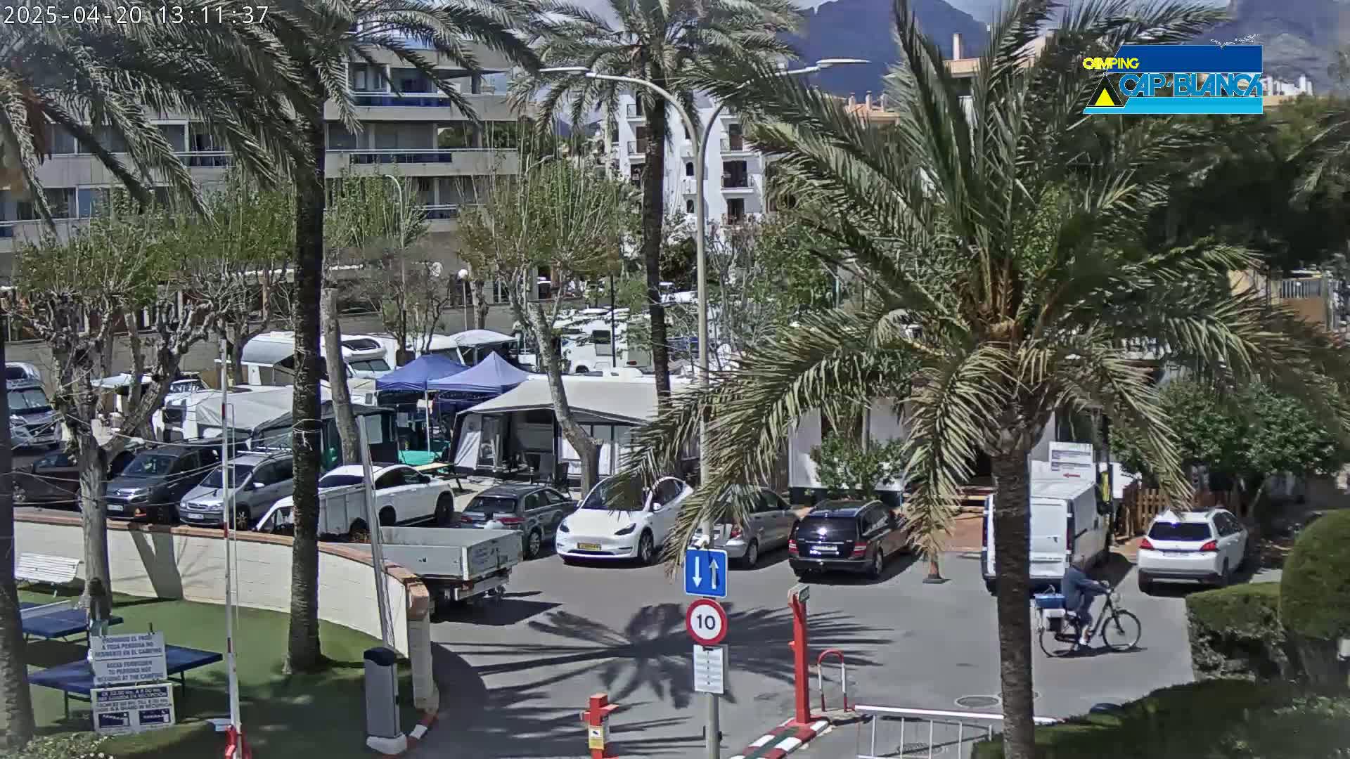 A sunny day shows a parking lot filled with cars and RVs near palm trees and apartment buildings, with a person riding a bicycle in the foreground.