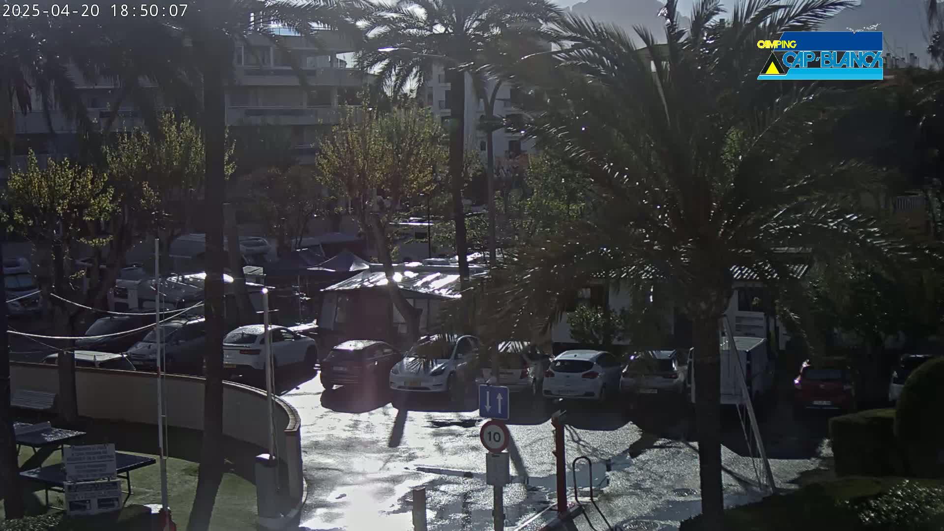 A wet parking lot with cars, palm trees, and small buildings is seen on a sunny day.