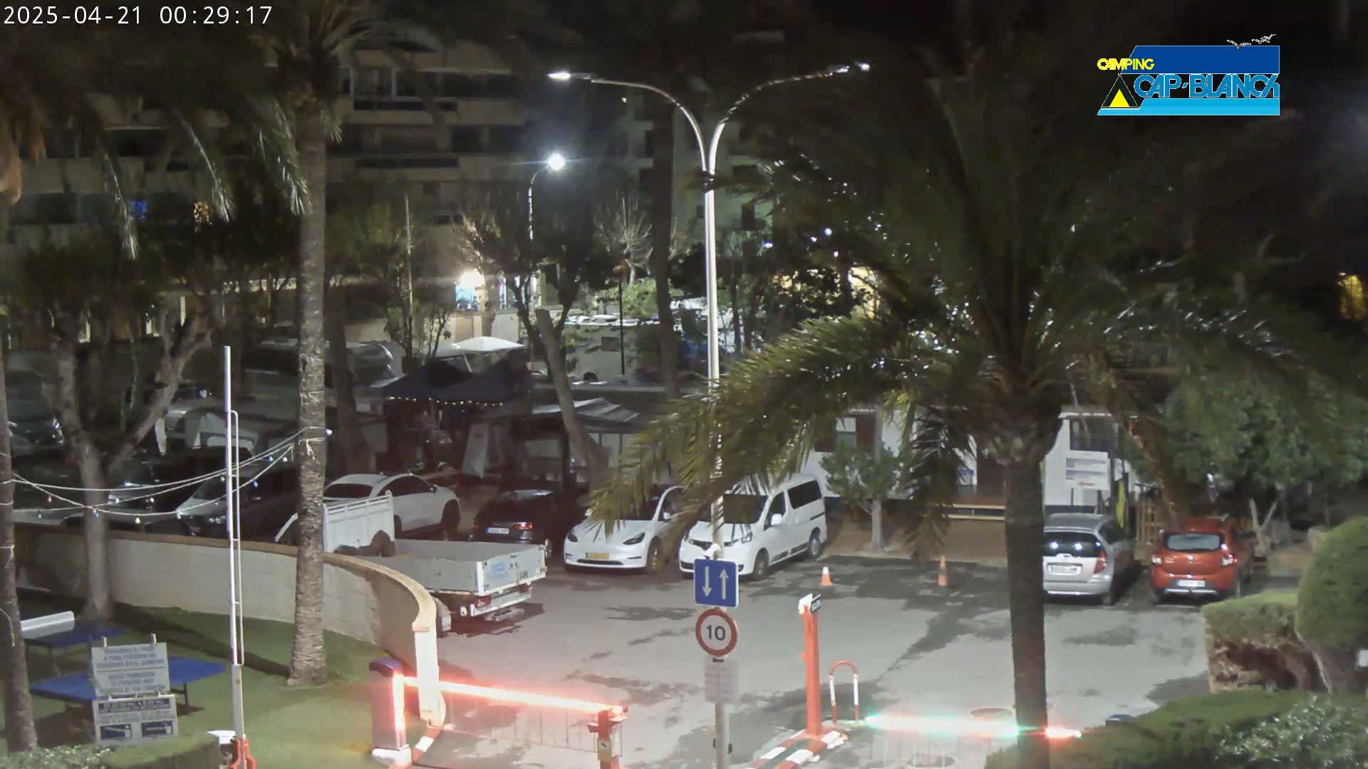 A nighttime view of a parking lot with several cars and palm trees, under outdoor lighting.