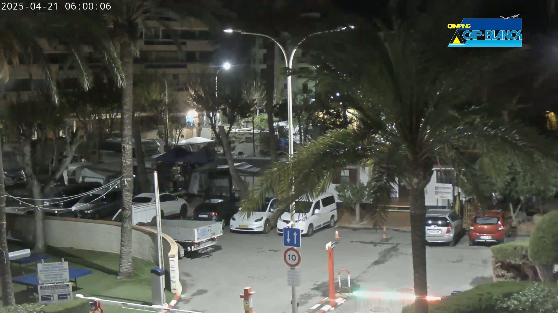 A nighttime parking lot with several cars and RVs under palm trees, lightly lit by streetlights.