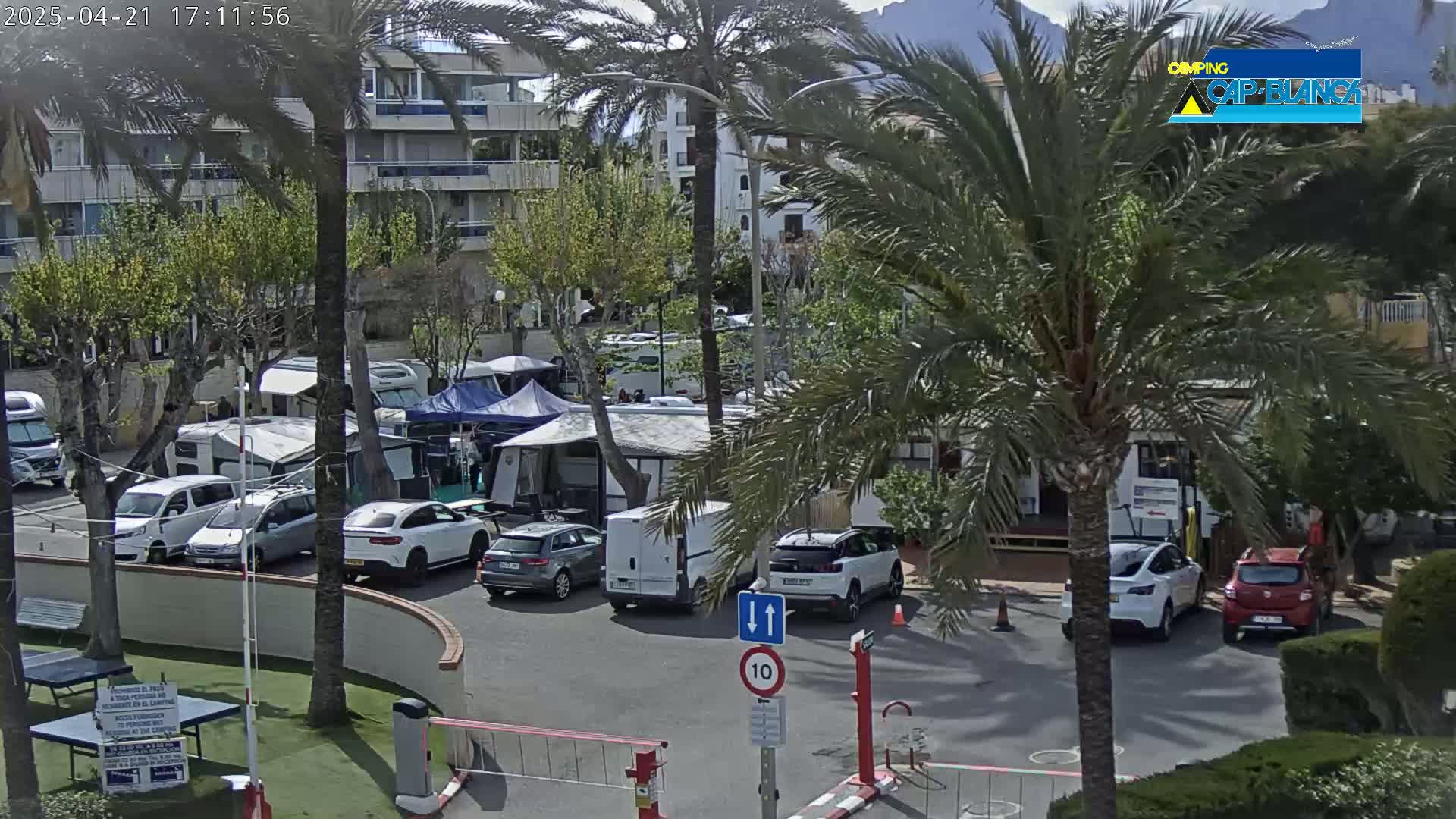 A sunny outdoor scene shows a parking lot filled with cars and campervans next to a building, surrounded by palm trees and landscaping.