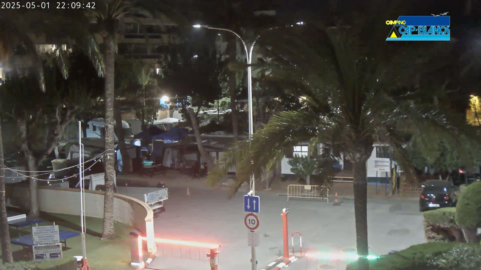 A nighttime view of a parking lot with palm trees and RVs, under a clear sky.