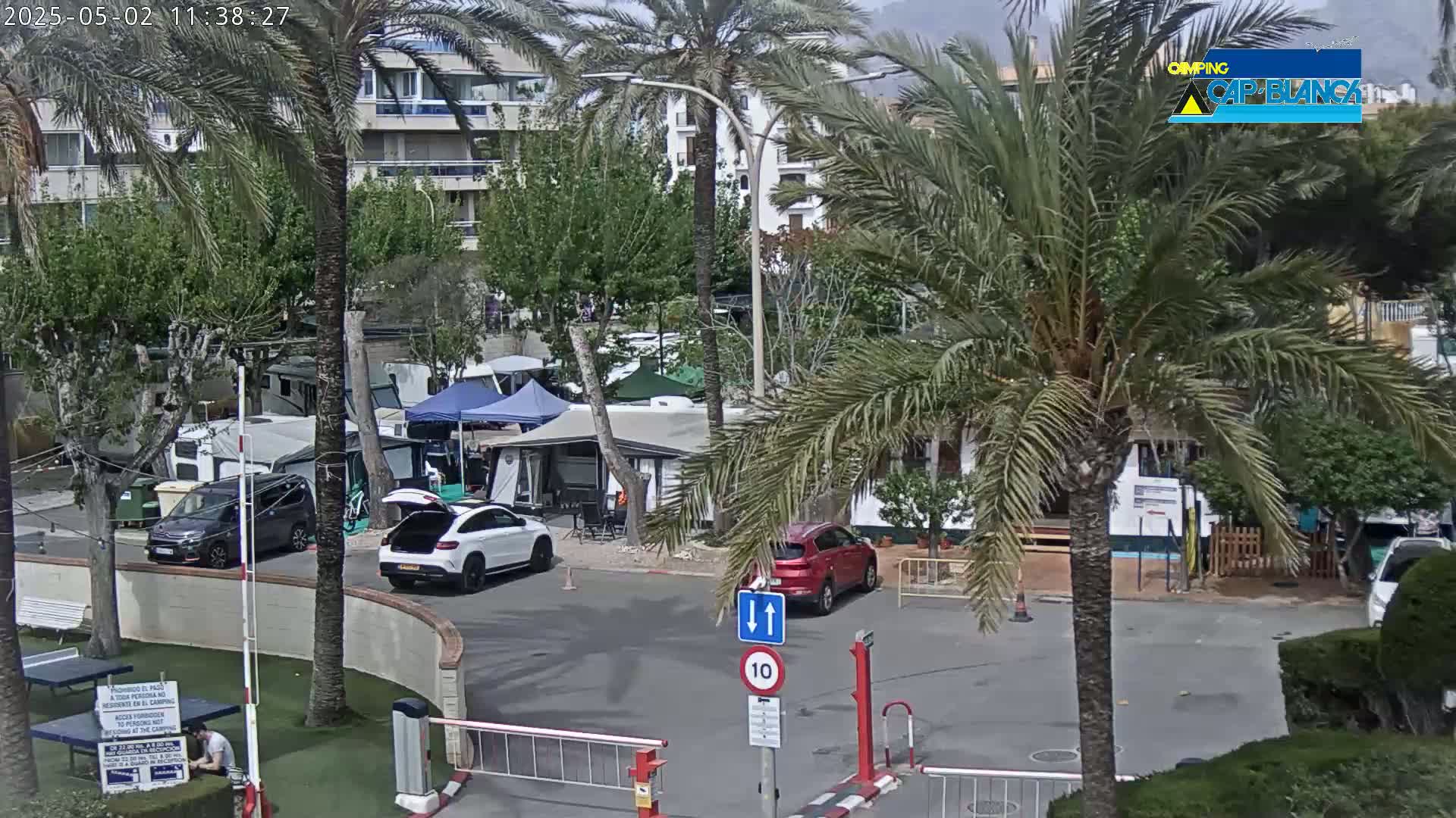 A parking lot with several cars and recreational vehicles is situated amongst palm trees and buildings under a partly cloudy sky.