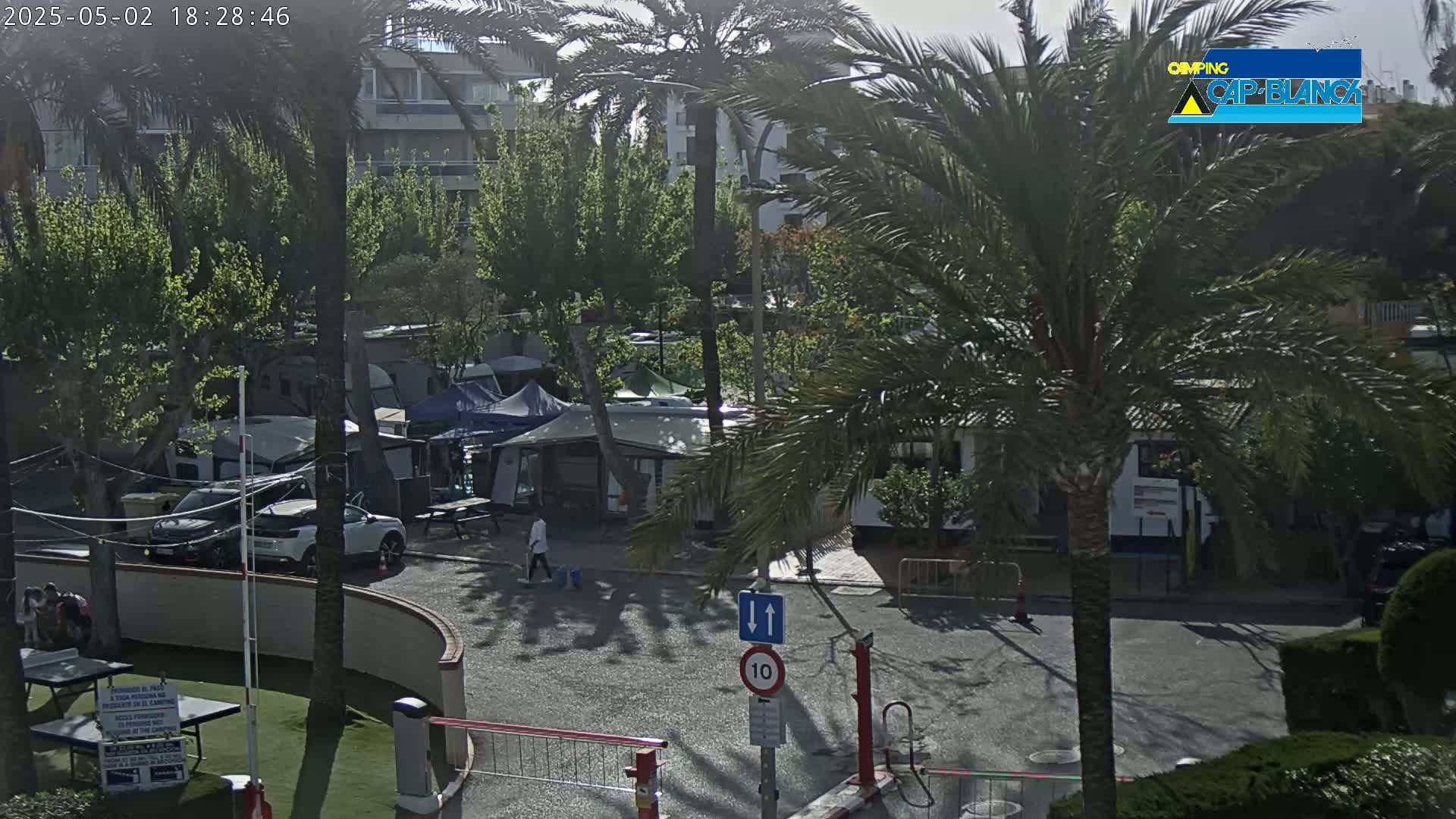 A sunny outdoor scene shows a paved area with several parked cars and campervans surrounded by palm trees and green landscaping.