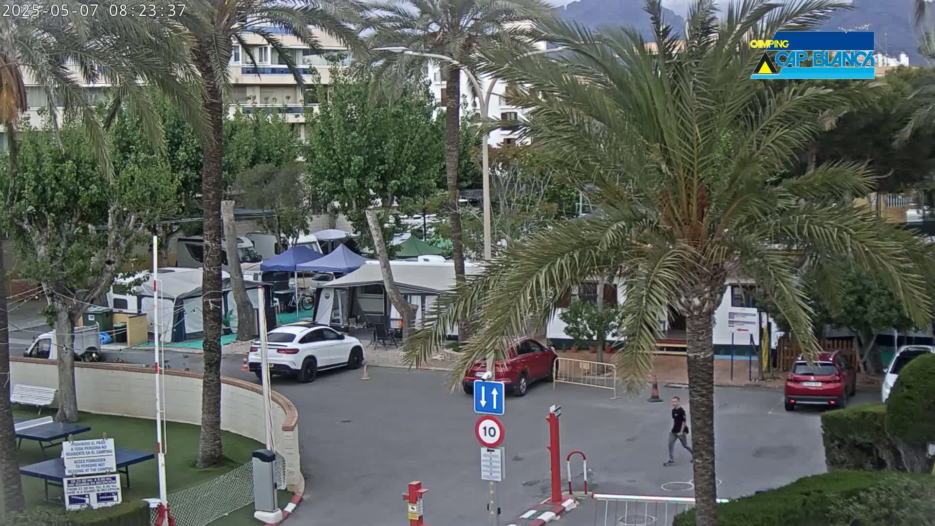 A paved area with cars and campervans in a campground surrounded by palm trees and buildings under an overcast sky.
