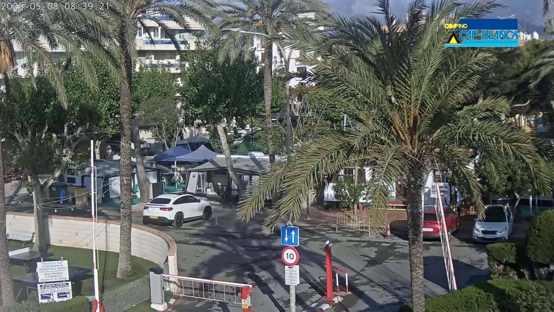 A sunny, outdoor scene shows a parking lot with several cars and campervans surrounded by palm trees and buildings.