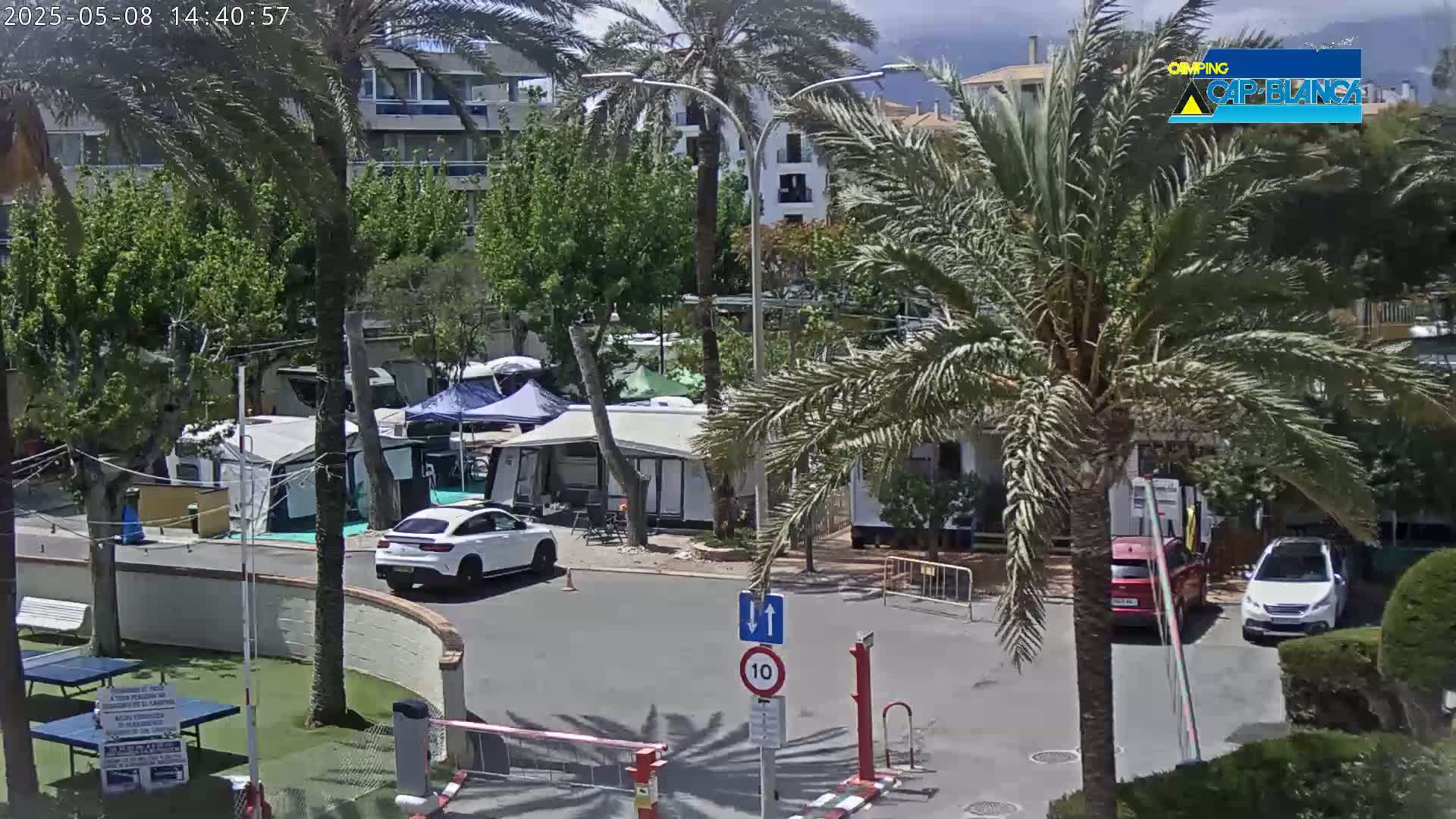 A sunny day at a campground shows numerous RVs and cars parked near palm trees and buildings.