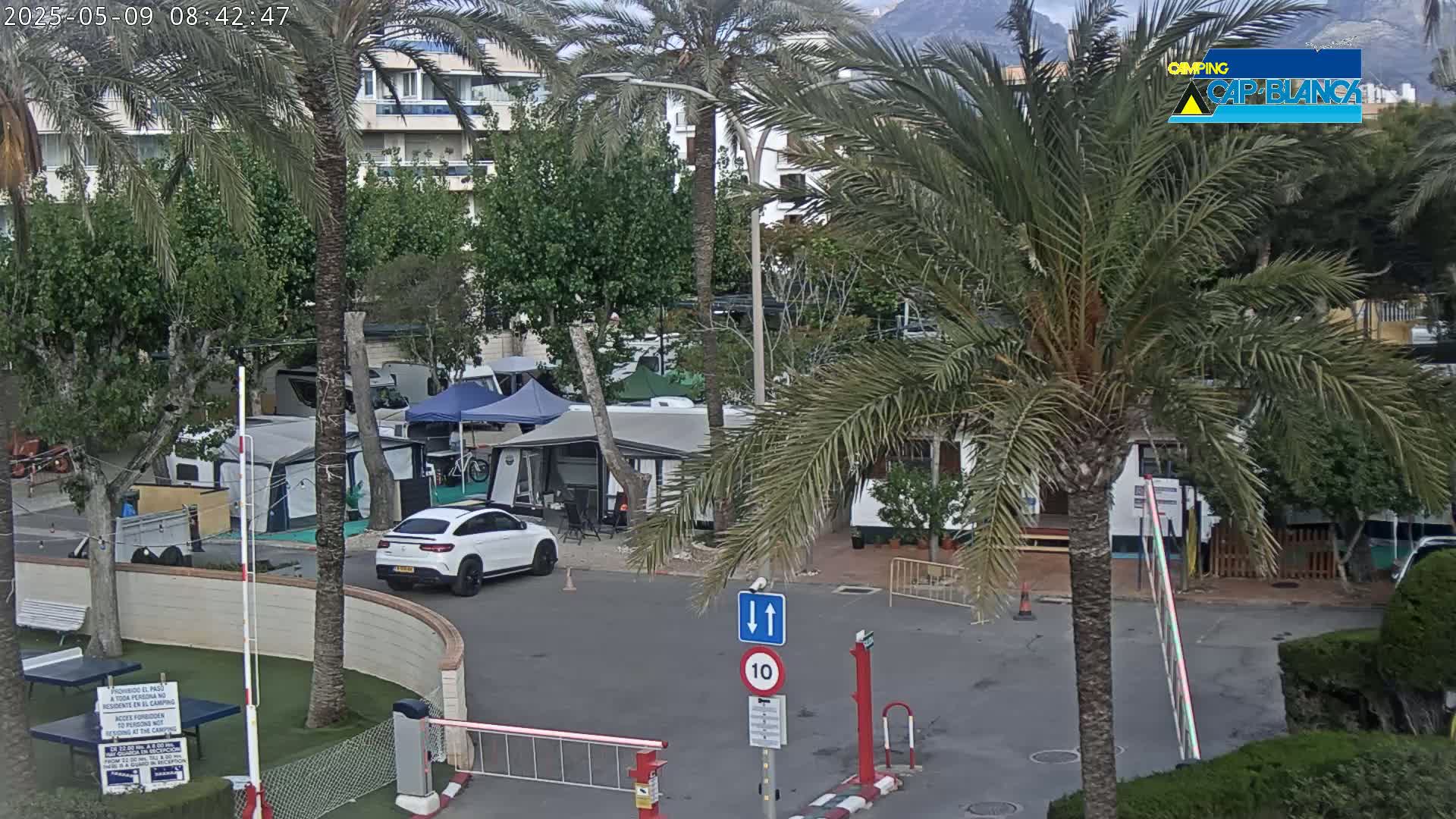 A paved area with parked cars and caravans is surrounded by palm trees and buildings under a mostly cloudy sky.