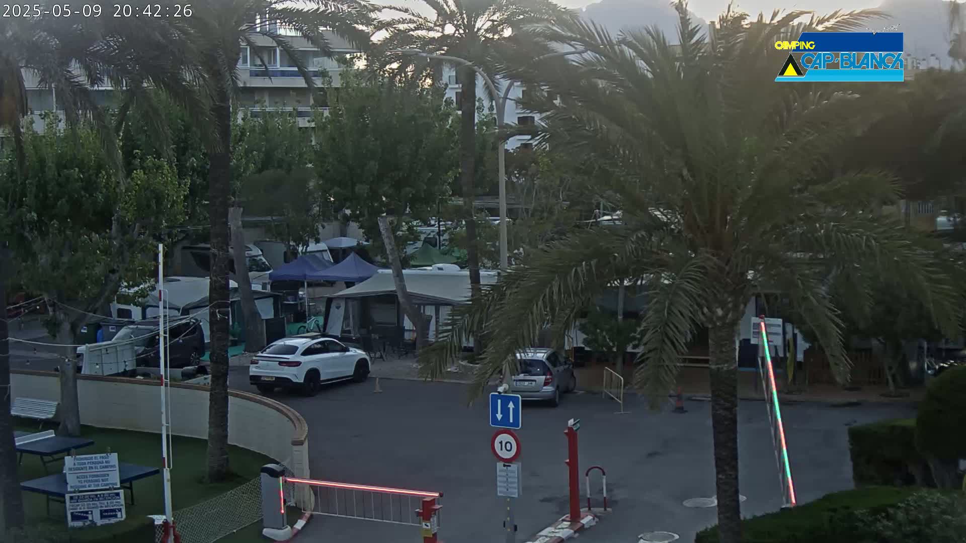 A parking lot with RVs and cars, surrounded by palm trees and buildings, at dusk.