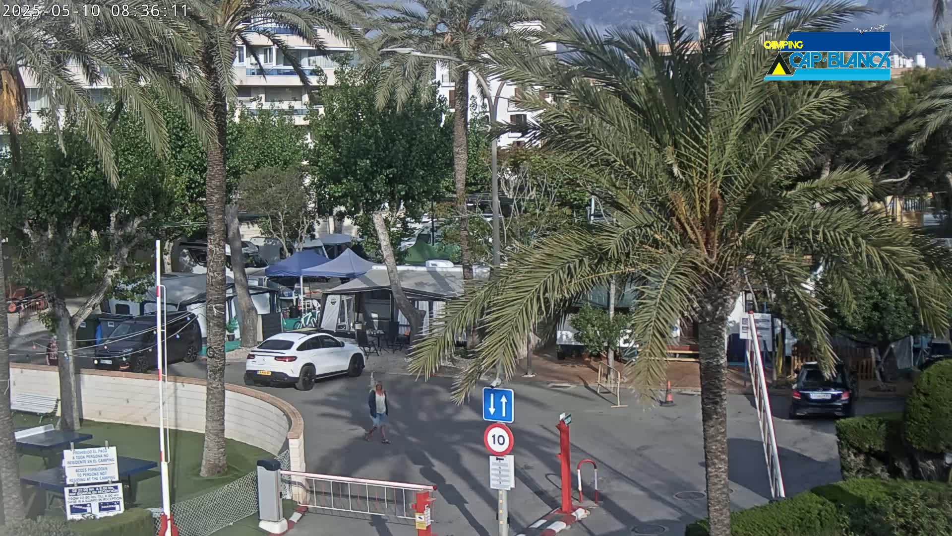 A sunny outdoor scene shows a campground with numerous tents and RVs situated among palm trees and other greenery, near a roadway with a vehicle crossing a gate.