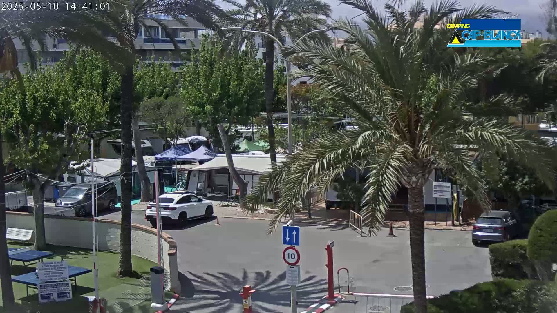 A sunny outdoor scene shows a parking lot with cars and recreational vehicles amidst palm trees and other greenery.