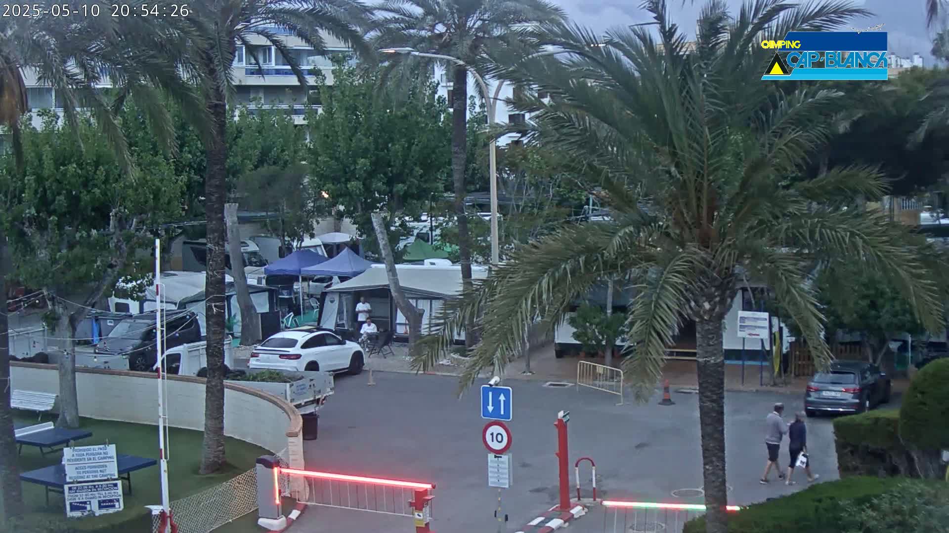 A nighttime view of a campground with cars, campers, and palm trees under a cloudy sky.