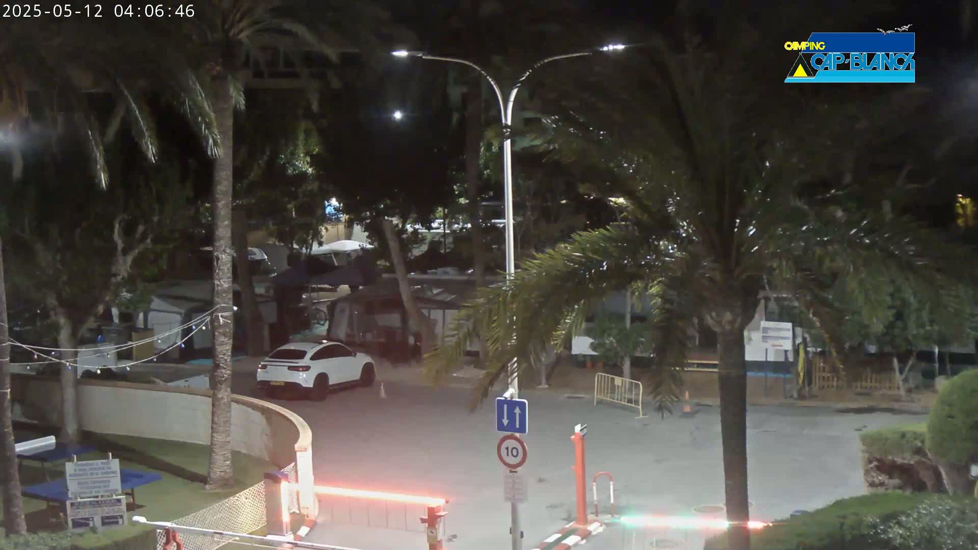 A nighttime view of a parking lot with palm trees, RVs, and a white SUV, under artificial lighting.