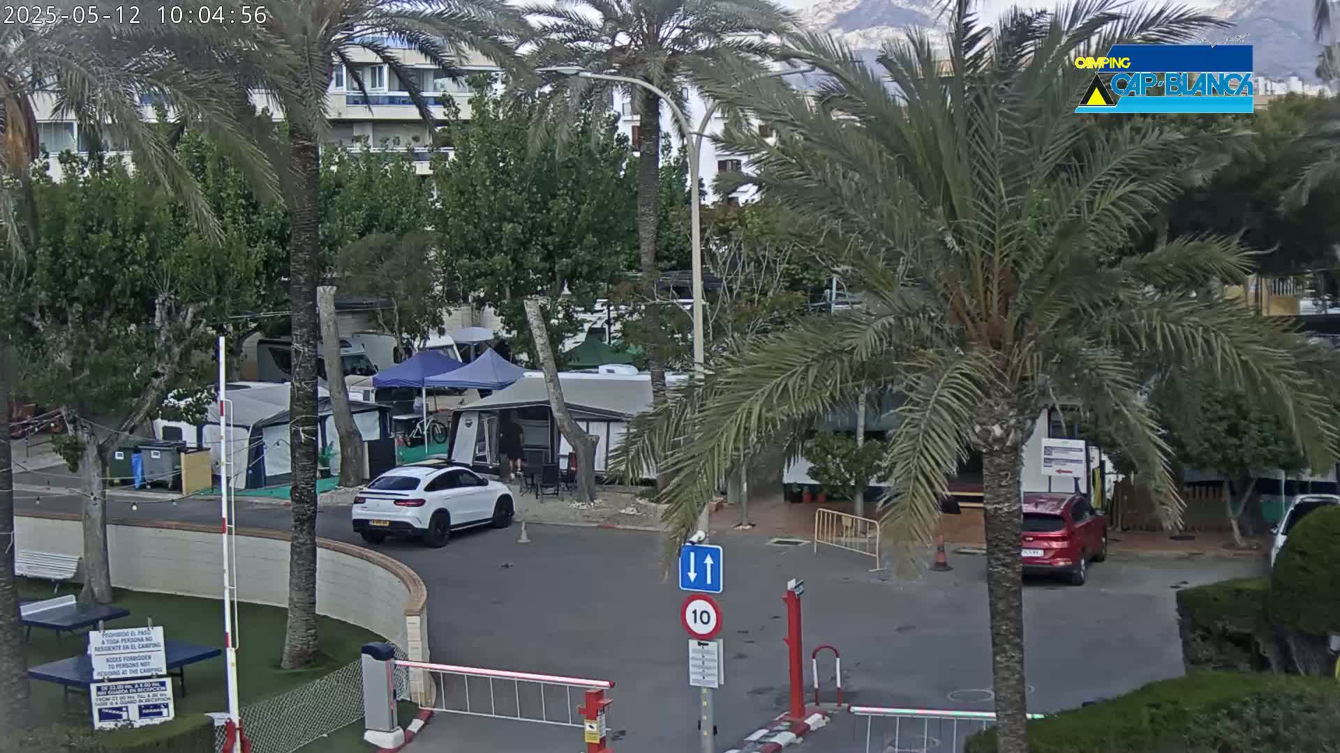 A paved area with several parked cars and recreational vehicles is surrounded by palm trees and buildings under an overcast sky.