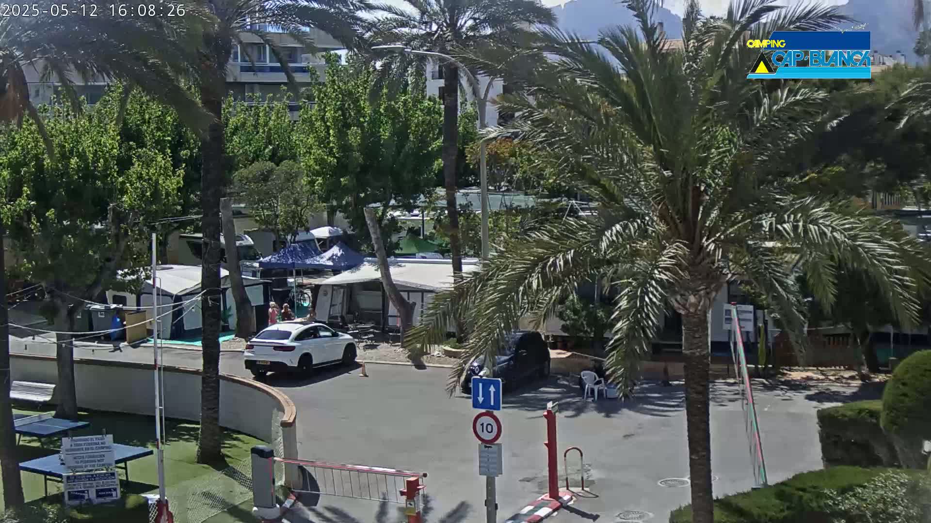 A sunny outdoor scene shows a campground with several caravans and tents, palm trees, and a few cars parked in a paved area.
