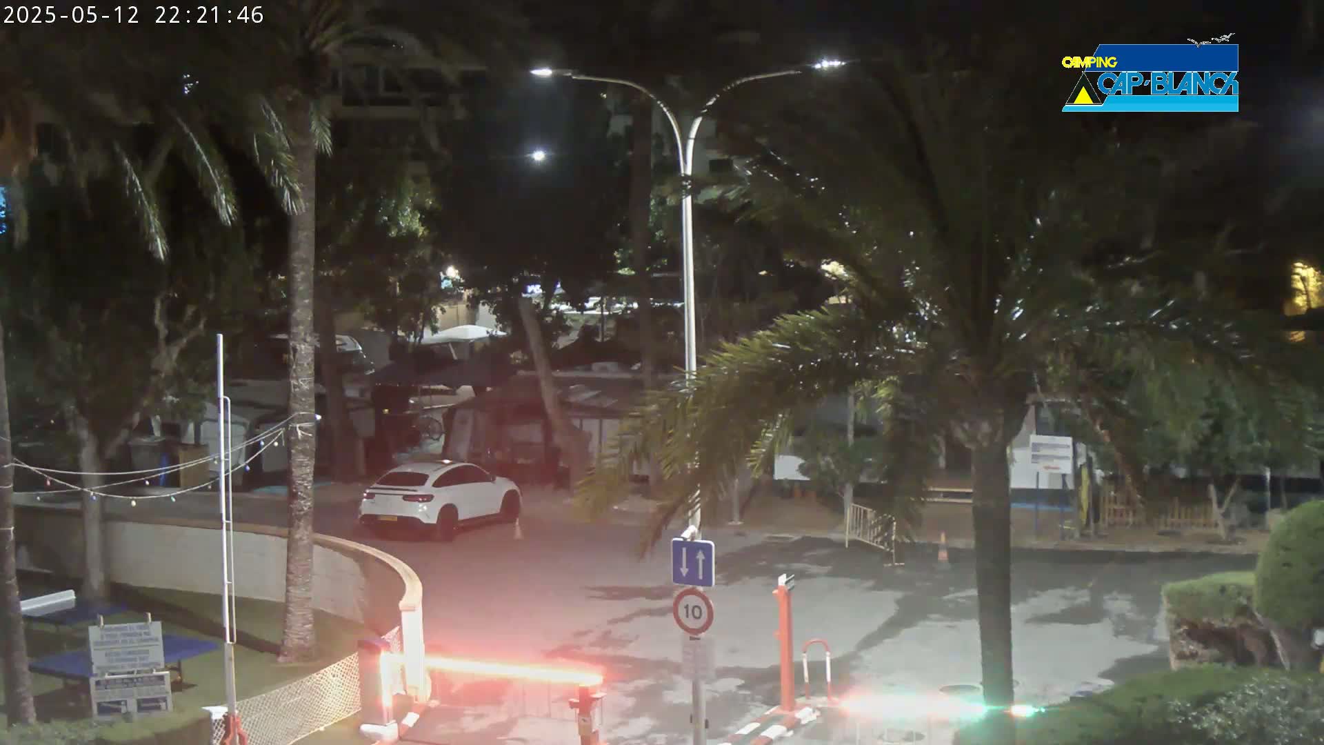 A white car is parked in a nighttime outdoor scene illuminated by streetlights, surrounded by palm trees and other vegetation.