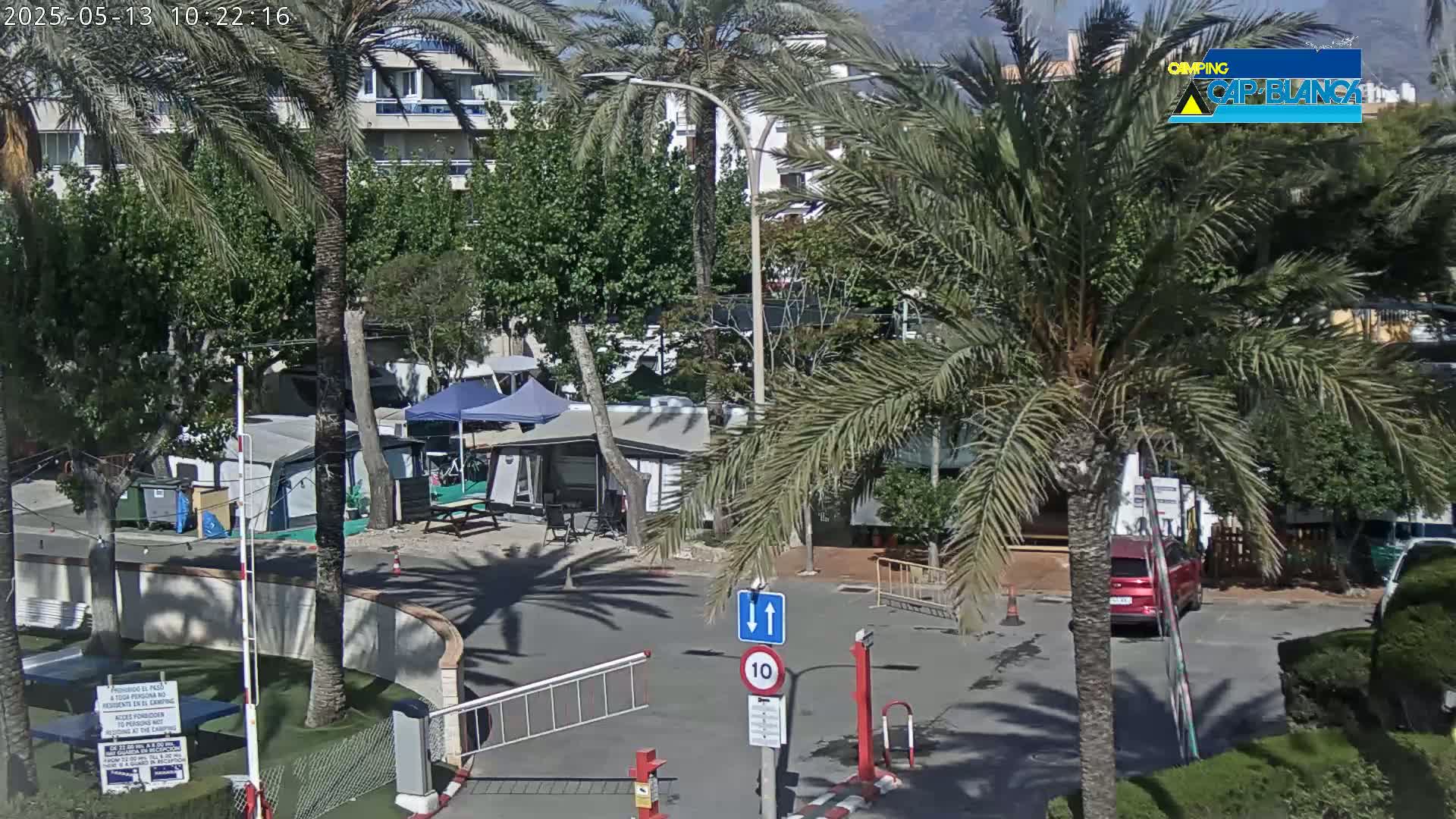 A sunny outdoor scene shows a campground with numerous tents and RVs, palm trees, a roadway, and a vehicle parked nearby.