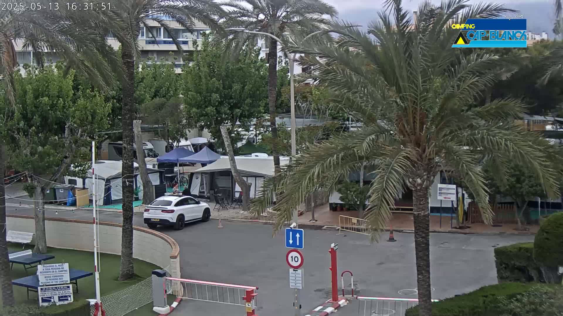 A paved area in a campground with numerous tents and RVs, surrounded by palm trees, under an overcast sky.