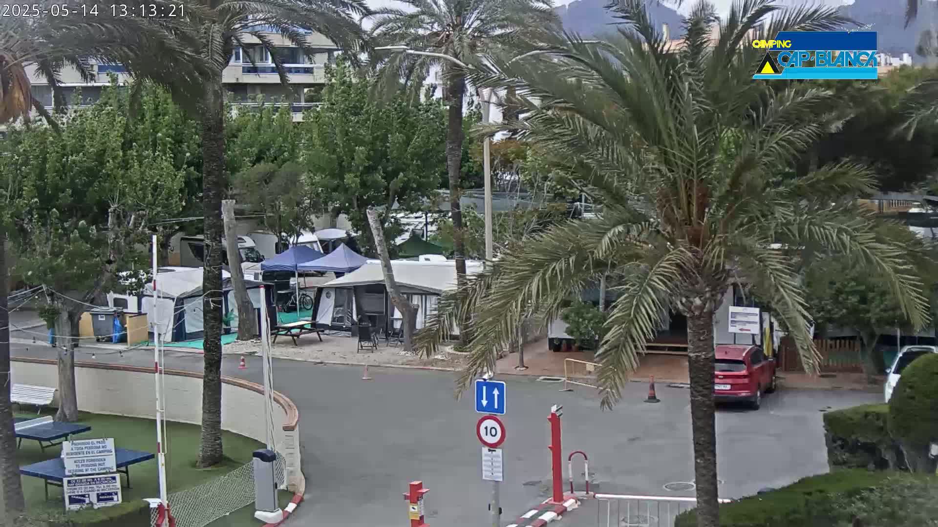 A campground with numerous tents and caravans under a partly cloudy sky, surrounded by palm trees and buildings.