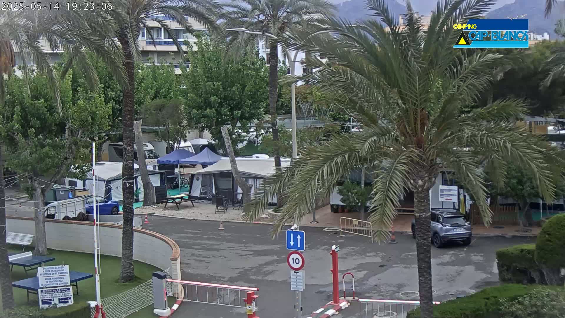 A campground with several tents and camper vans is seen from above on an overcast day, surrounded by palm trees and buildings.