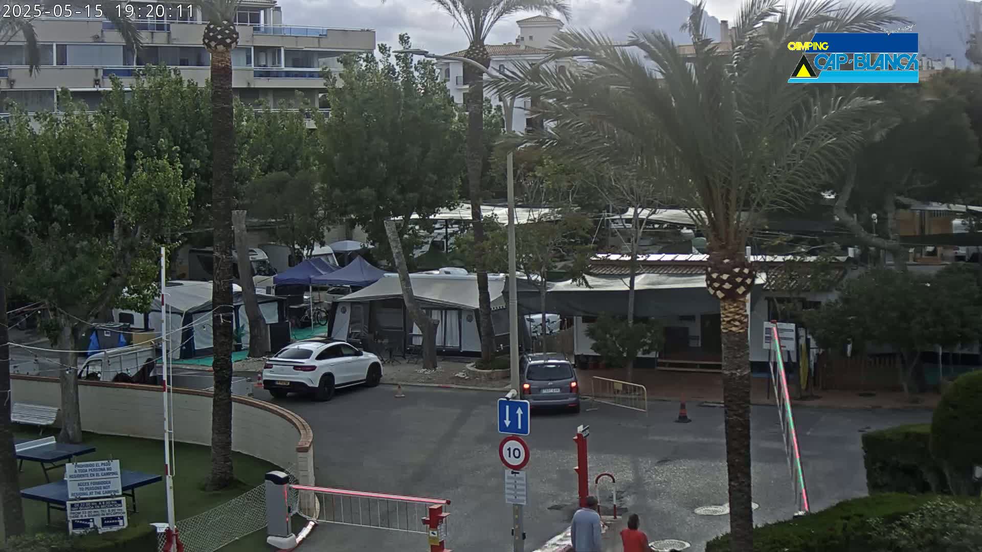 A campground with numerous camper vans and tents, situated near buildings and palm trees, under a partly cloudy sky.