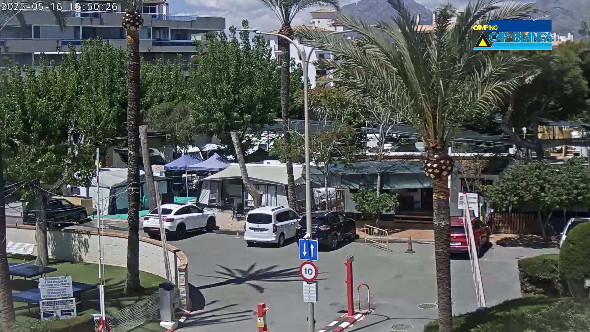 A sunny day at a campground shows several cars parked among numerous RVs and tents, under palm trees and near a building.