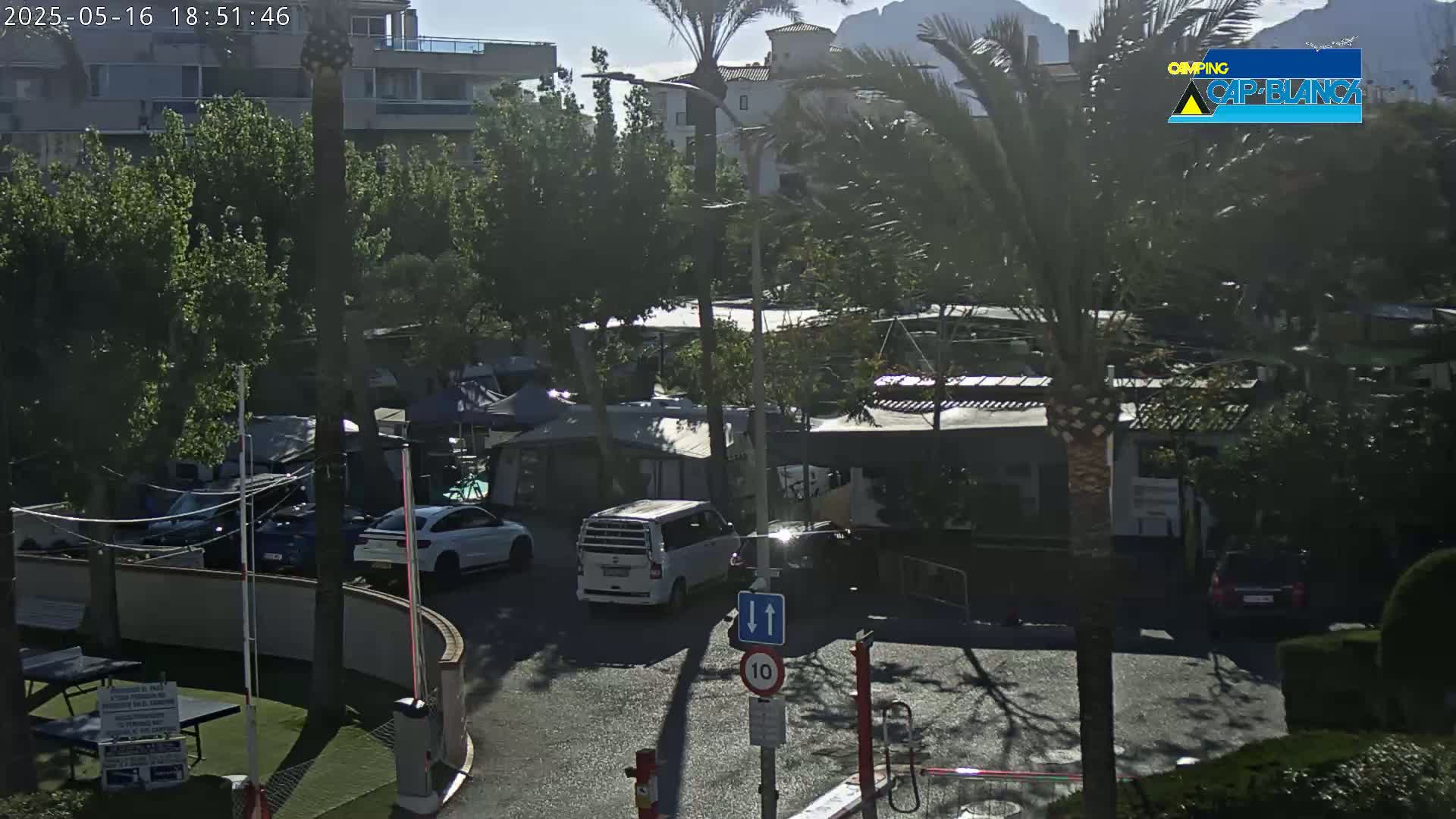 A sunny outdoor scene shows a campsite with numerous RVs and cars parked, surrounded by lush green trees and buildings in the background.