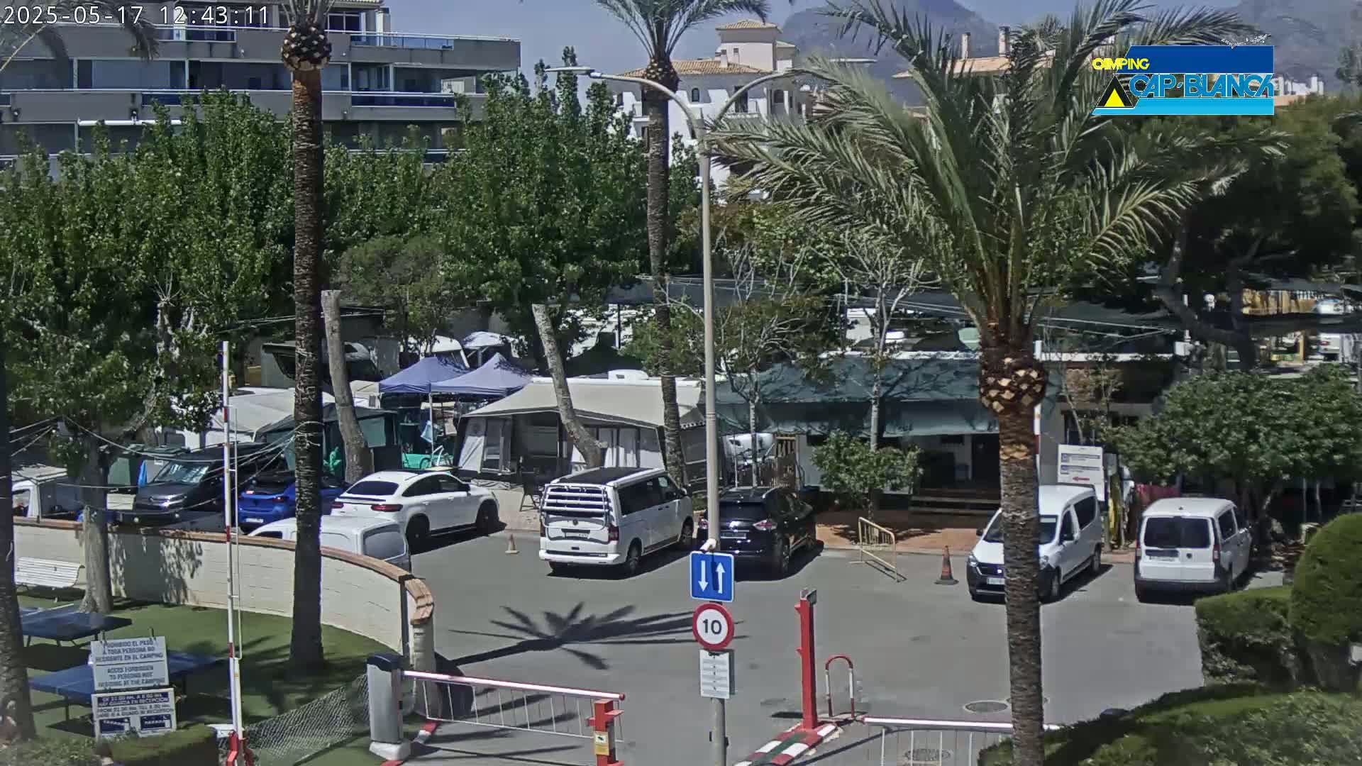 A sunny outdoor scene shows a campground with numerous RVs and cars parked in a paved lot, surrounded by lush green trees and palm trees.