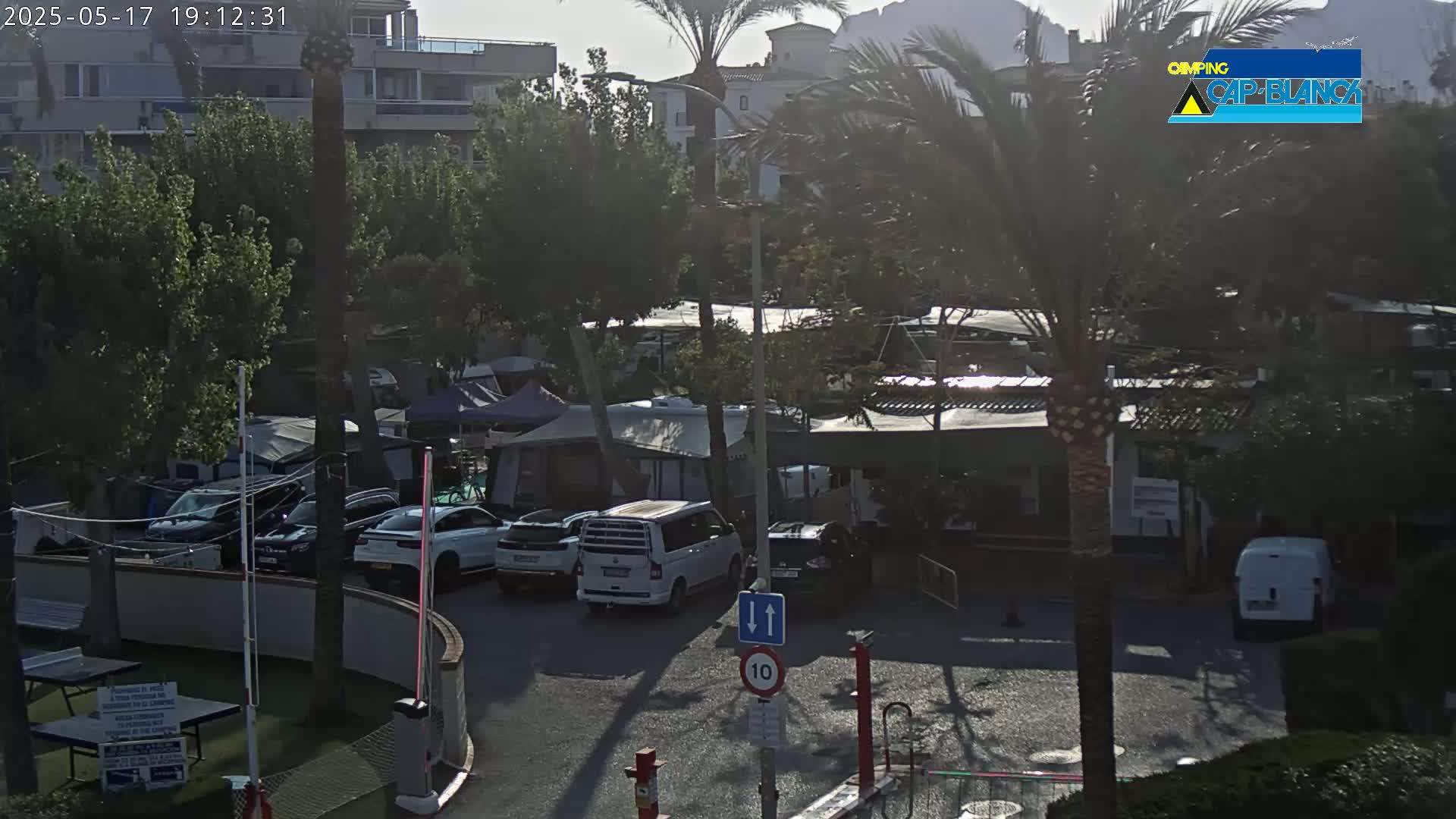 A sunny outdoor scene shows a campground with numerous tents and camper vans parked amongst trees and buildings.