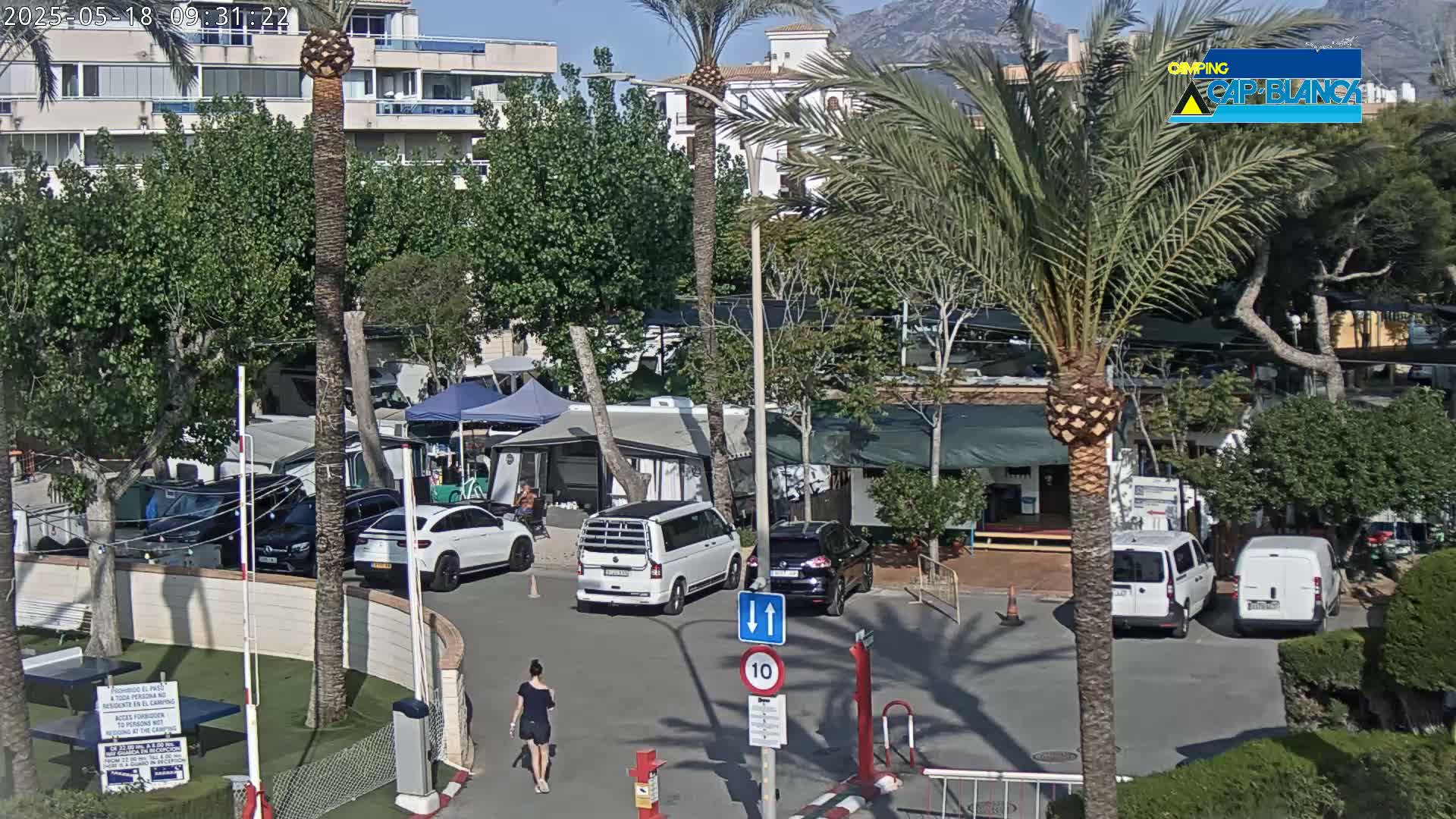 A woman walks past parked cars and campervans in a sunny campground, surrounded by palm trees and buildings.