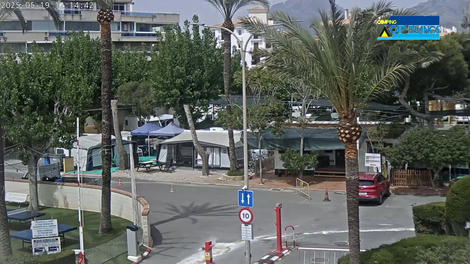 A sunny day at a campsite shows numerous tents and caravans parked amongst lush green trees and palm trees, with a red car parked near a building in the foreground.