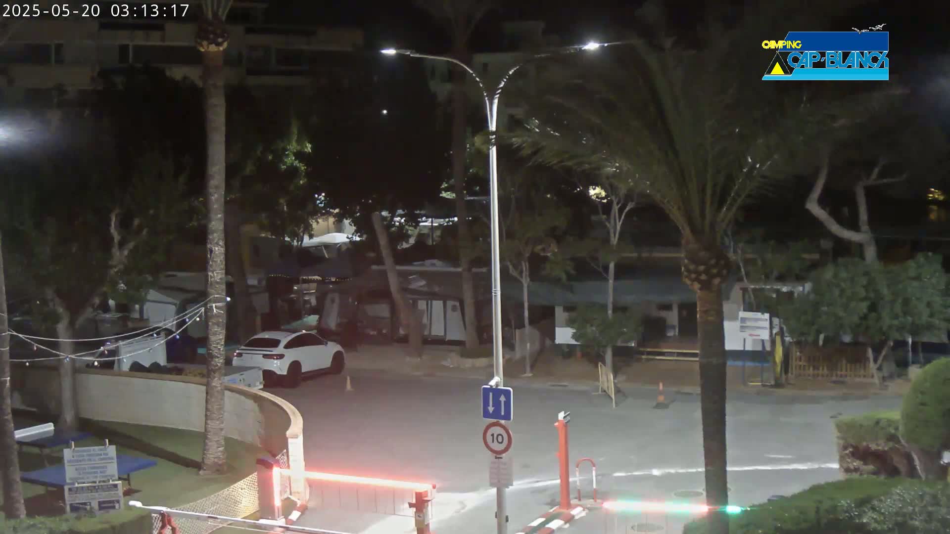 A nighttime view of a parking lot and roadway in a campground, illuminated by streetlights, with palm trees and other vegetation surrounding the area.