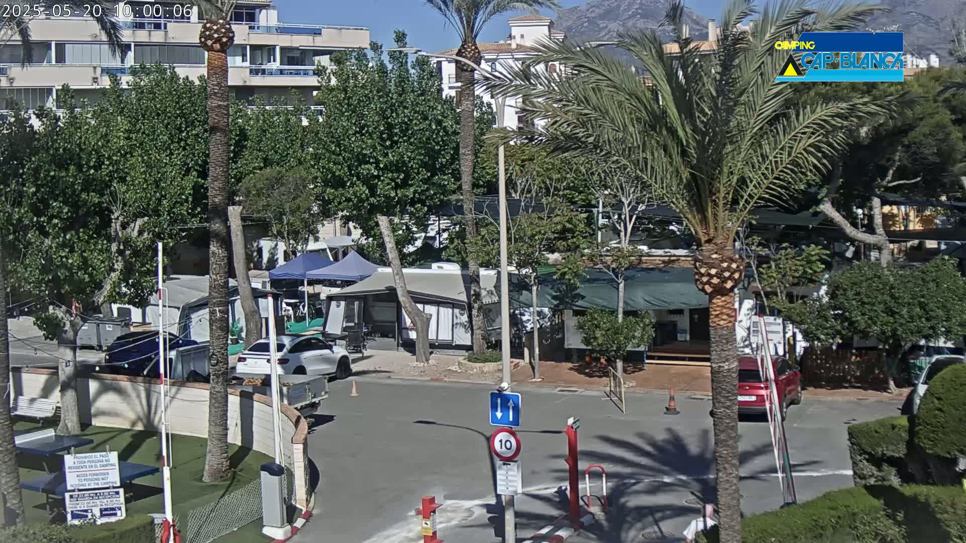 A sunny day at a campground with several RVs and tents, surrounded by palm trees and buildings.