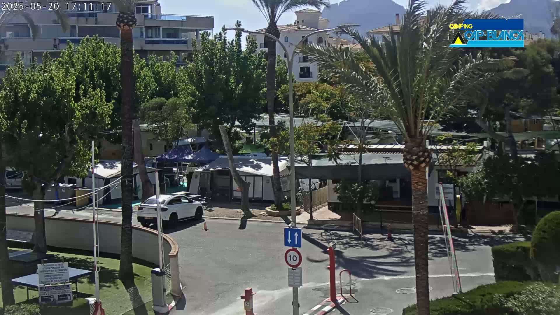 A sunny day at a campground with numerous campervans and RVs, a white car is parked near a paved road with a speed limit sign.