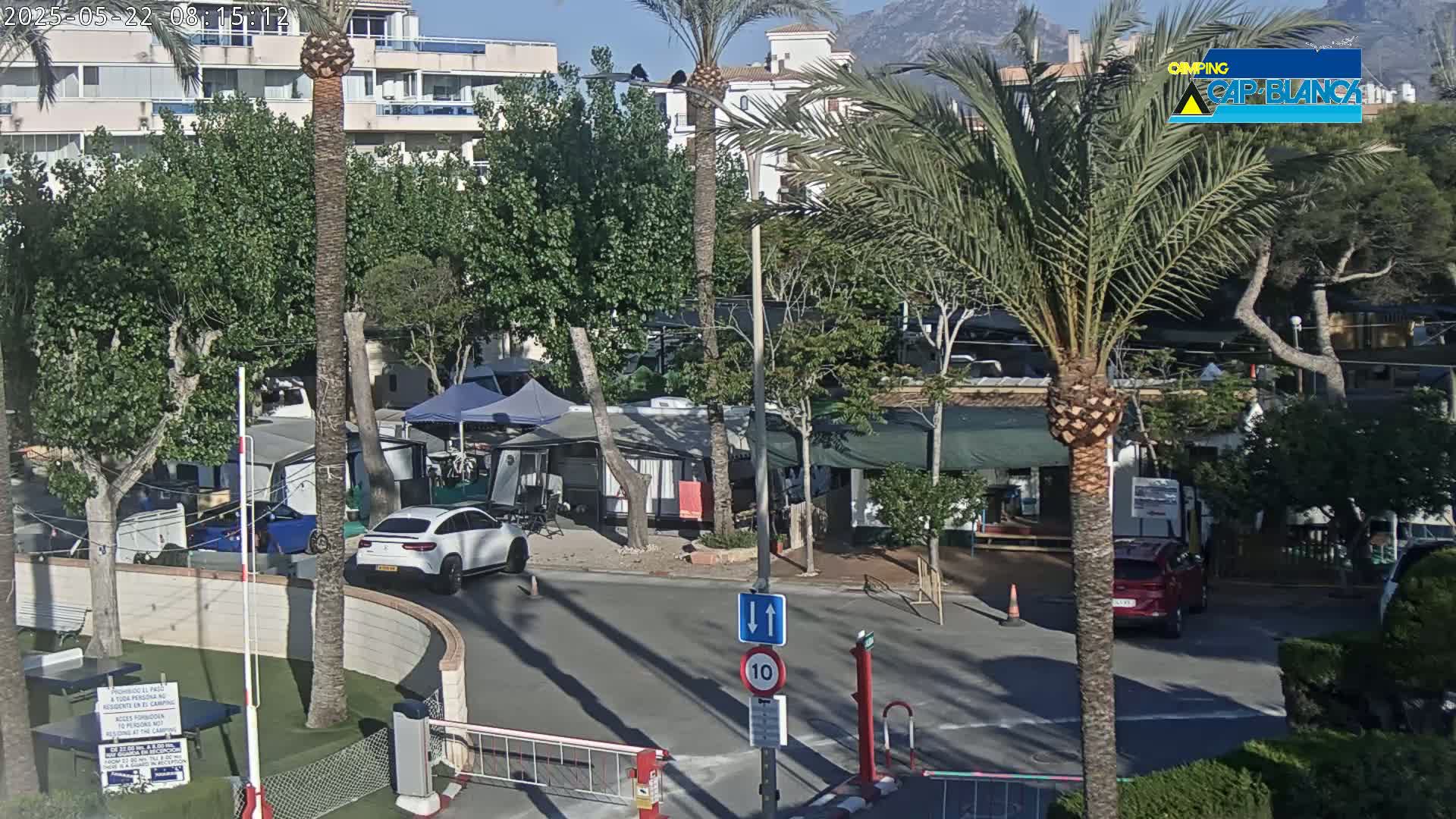 A sunny outdoor scene shows a roadway leading to a campground with several RVs and cars parked, surrounded by palm trees and other greenery, with mountains visible in the distance.