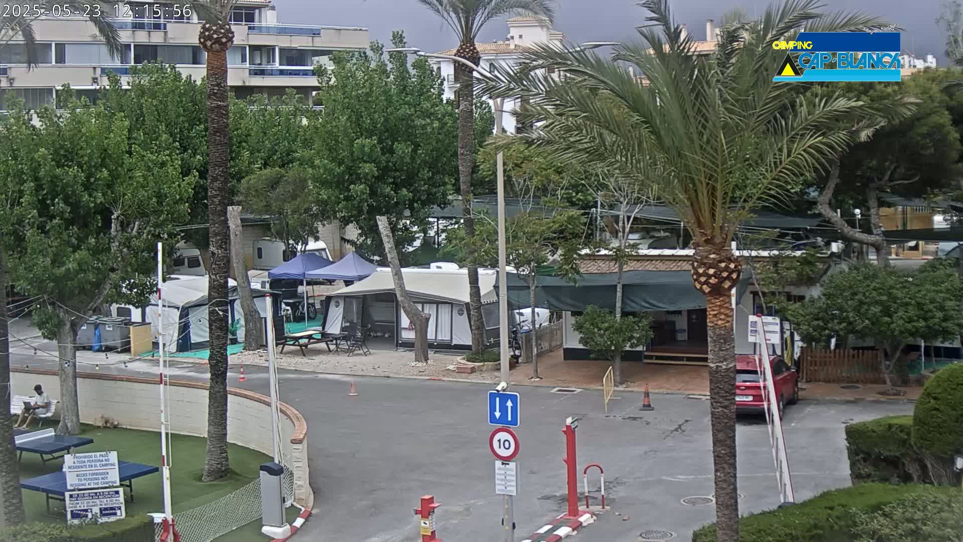 An overcast day at a campground with numerous RVs and tents, surrounded by palm trees and green shrubbery.