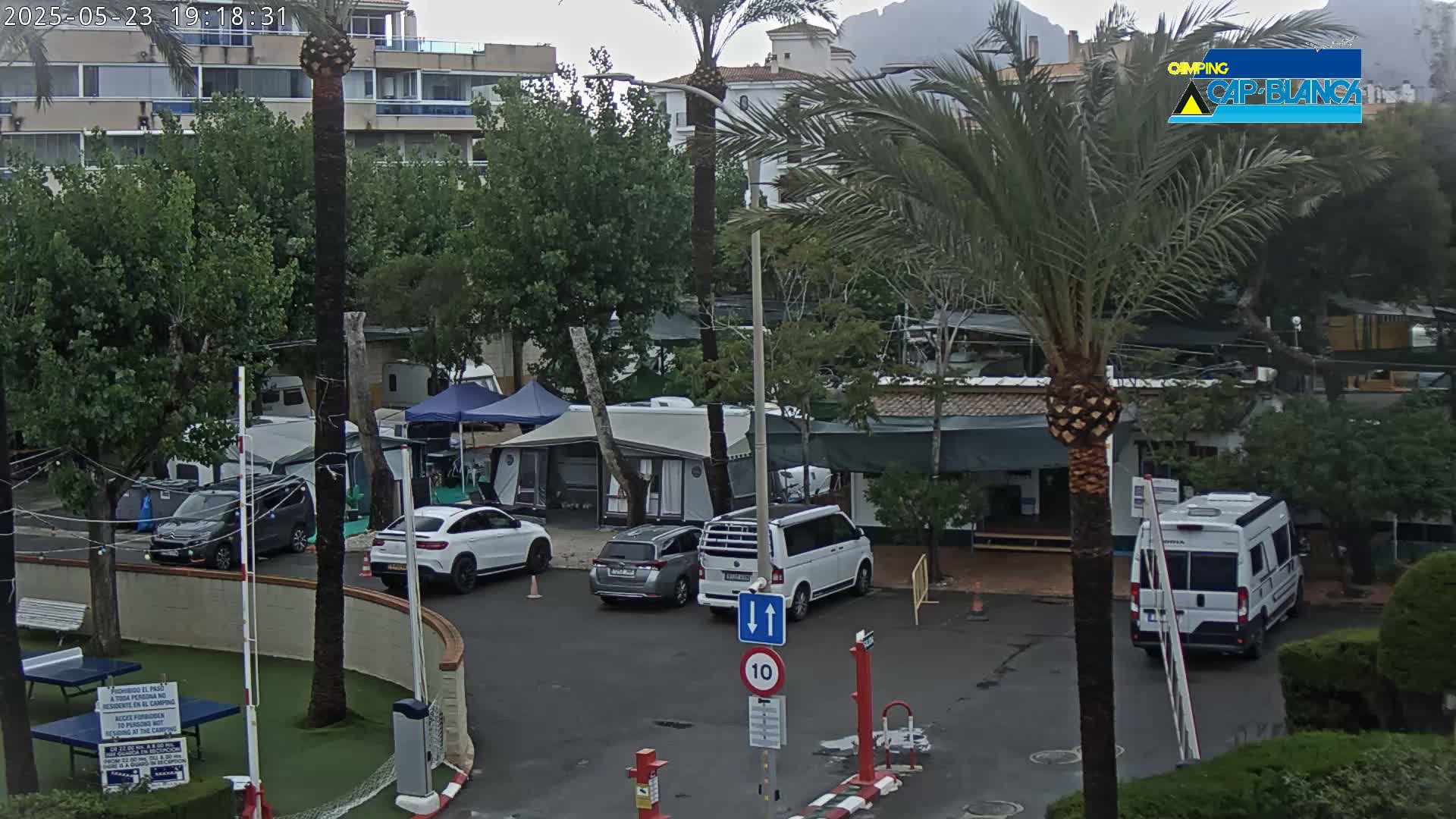 A parking lot with campervans and cars under an overcast sky, surrounded by trees and buildings.