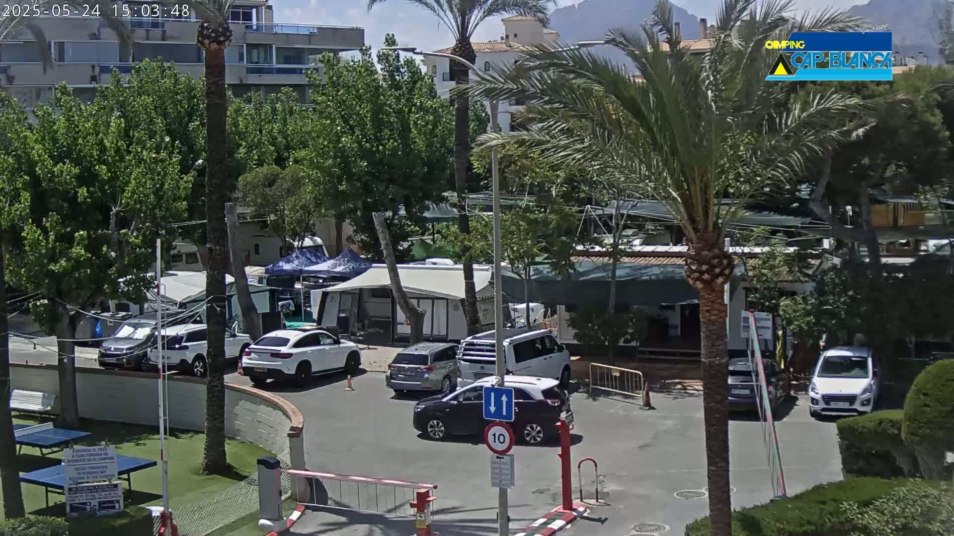 A sunny outdoor scene shows a parking lot with several cars and recreational vehicles near lush green landscaping and palm trees.