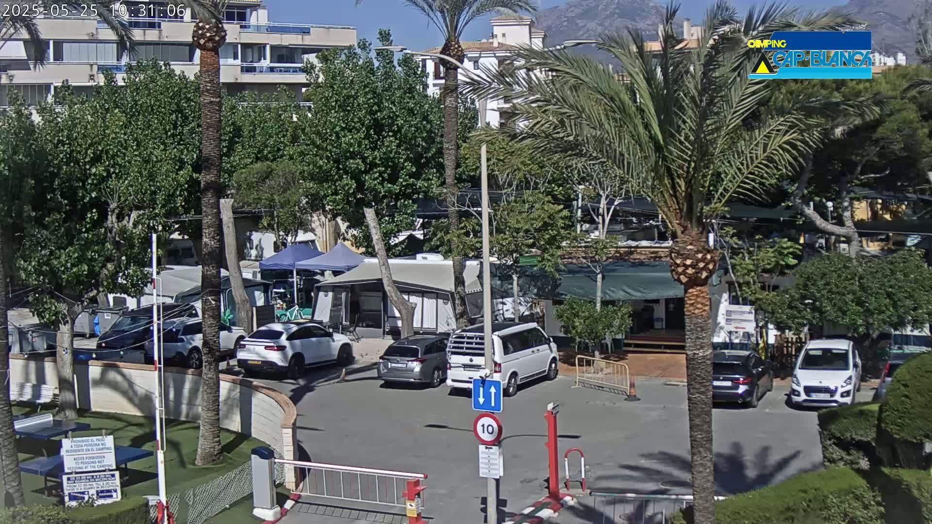 A sunny outdoor scene shows a campground with cars parked in a lot near several RVs and tents, some palm trees, and buildings in the background.