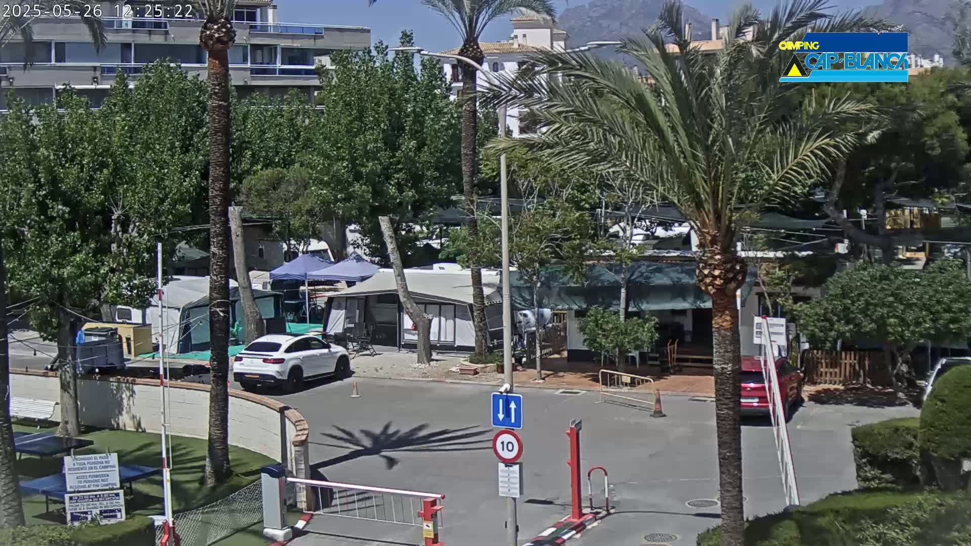 A sunny day at a campground with several RVs and cars parked, a white SUV near the entrance, and palm trees throughout.
