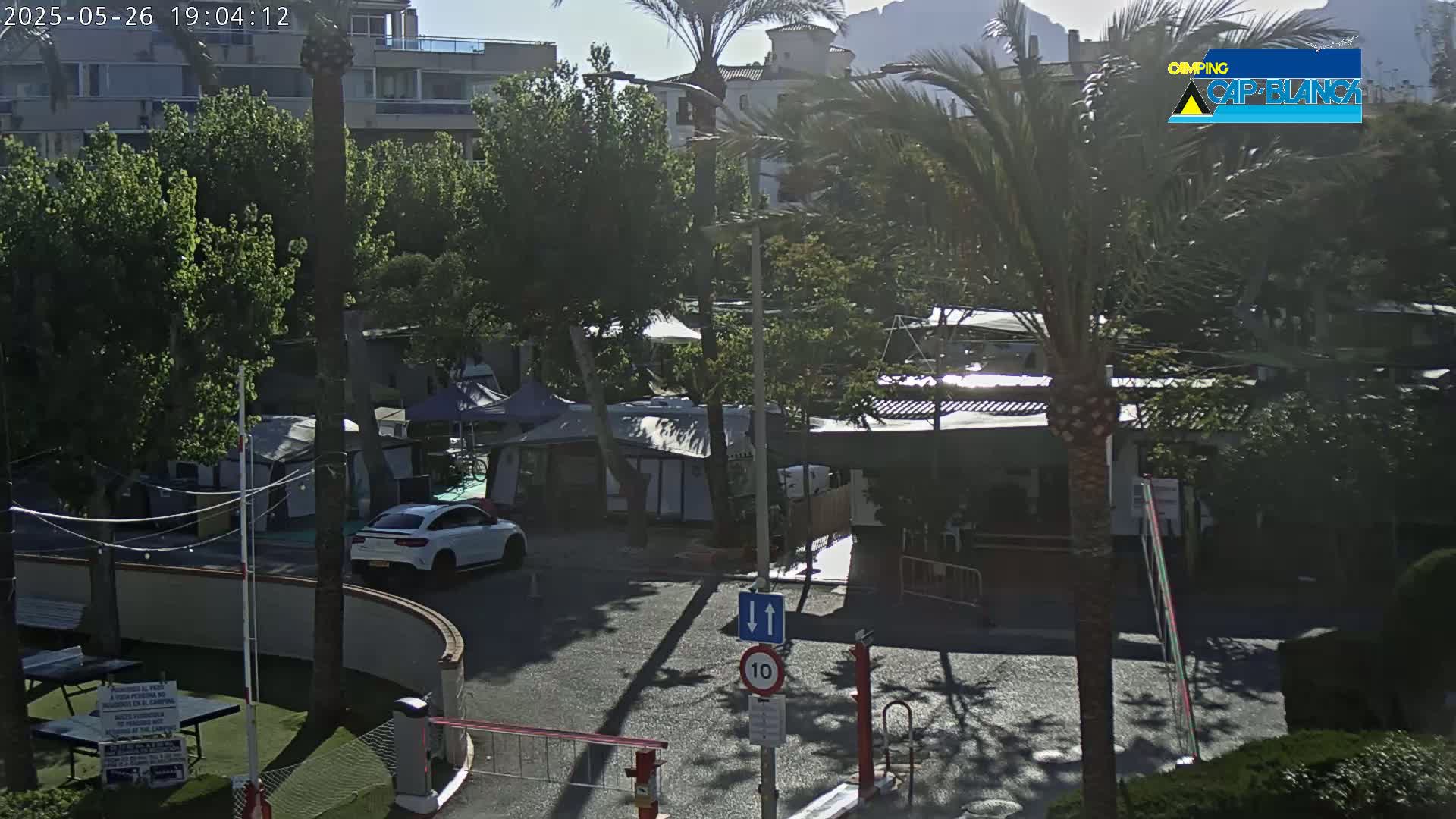 A sunny outdoor scene shows a white car parked near a campground with numerous tents and palm trees.