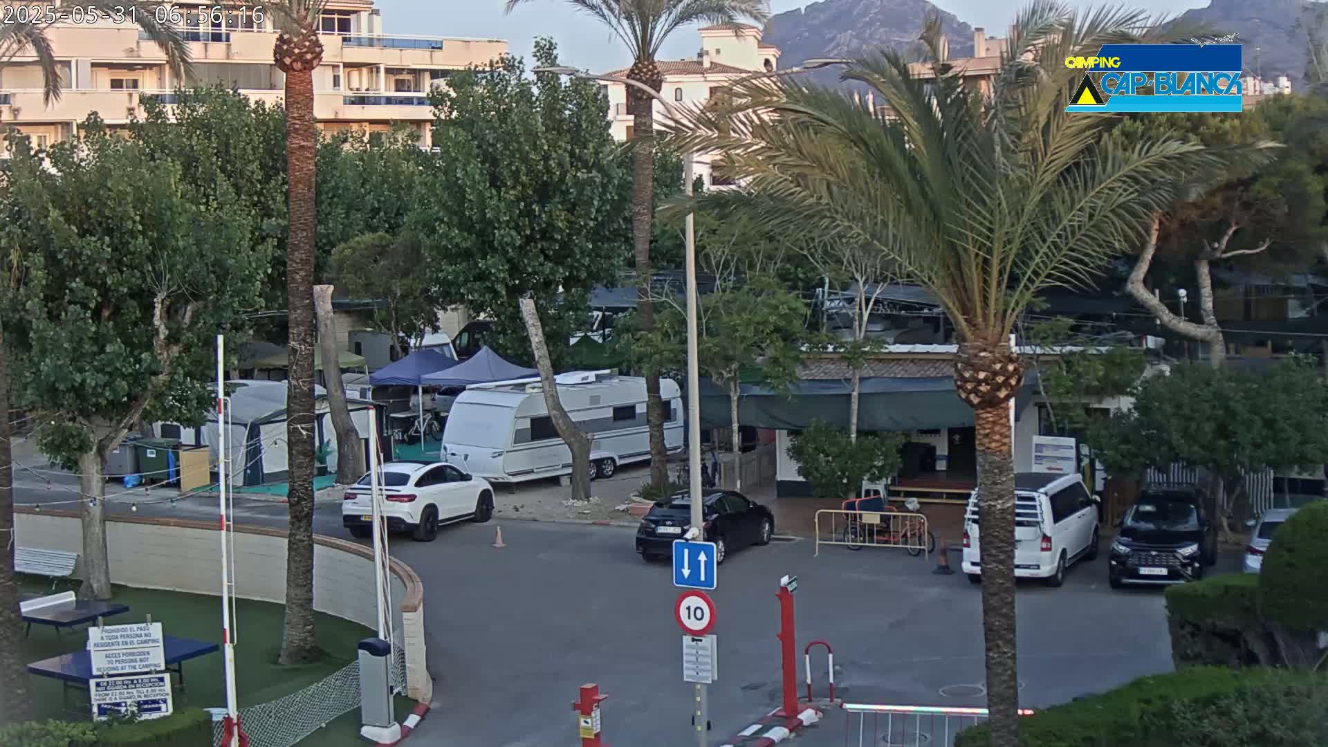 A parking lot with several cars, RVs, and tents is situated among palm trees and buildings under a partly cloudy sky.