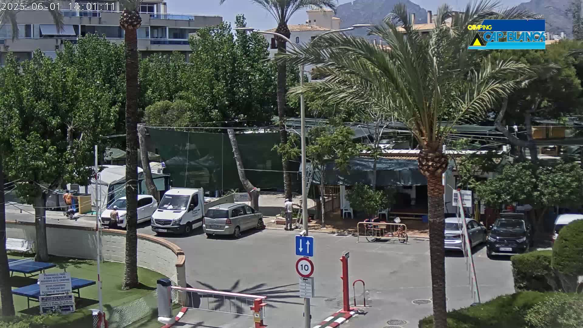 A sunny day reveals a parking lot with several cars and vans near a building and some palm trees, with a mountain visible in the distance.