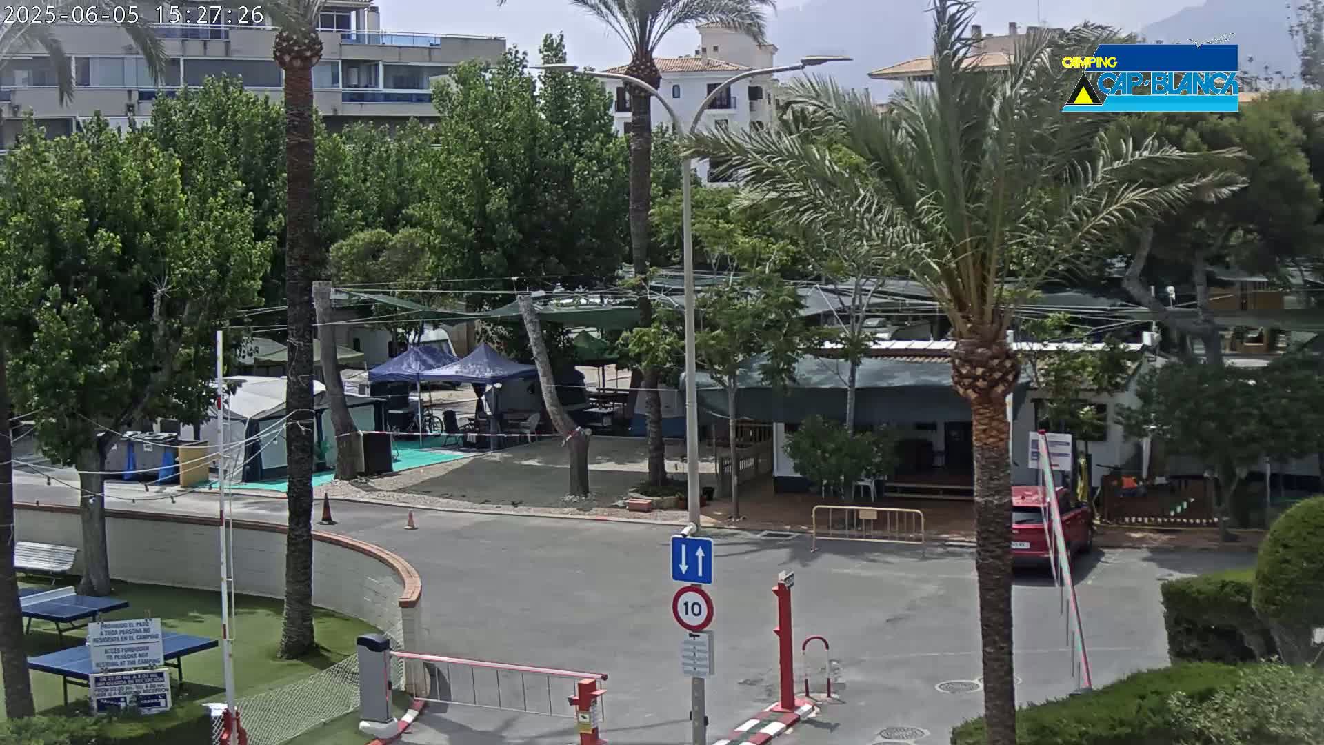 A sunny day at a campground with tents, buildings, and palm trees, featuring a red car parked near the entrance.