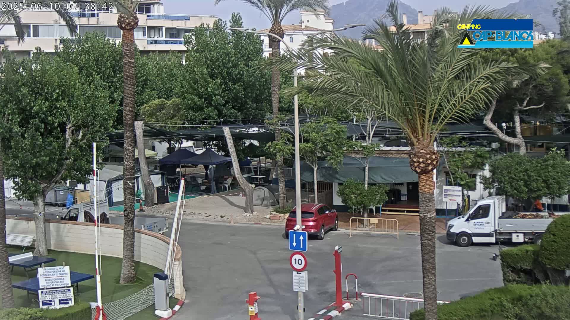 A sunny outdoor scene shows a campground with numerous tents and RVs, a red car and a white truck parked near a roadway,  and several palm trees and other greenery, with mountains visible in the distance.