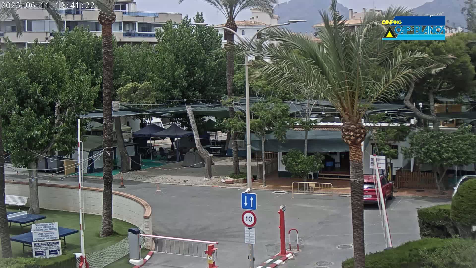A sunny day at a campground with numerous tents and RVs, palm trees, and a red car parked near a road with a speed limit sign.